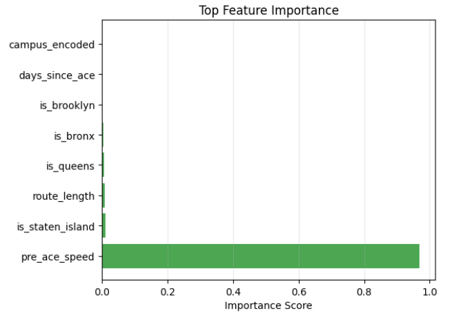 Top Feature Importance